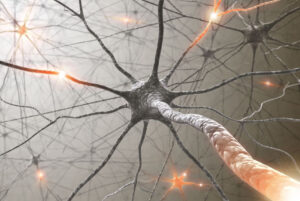 Células madre: pueden ser efectivas para tratar lesiones cerebrales y de la médula espinal